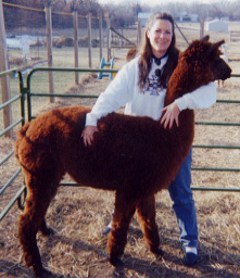 Spring Valley Farm