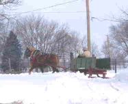 bobsled